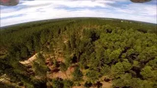 Land for sale below Samson AL. Timberland. United Country Fulford Realty