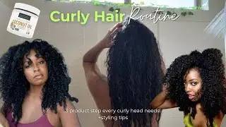 curly hair routine for black THICK hair + styling tips