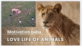 A Dog Baby&rsquo;s Love Can Change Your Life ? #motivation