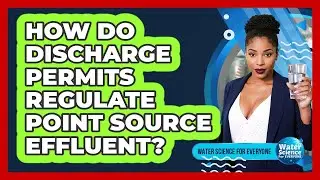 How Do Discharge Permits Regulate Point Source Effluent?
