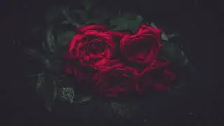 [FREE] Phora Type Beat 2020 