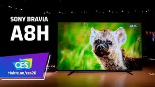 #CES20: 'Tr&ecirc;n tay' TV OLED 4K Sony BRAVIA A8H