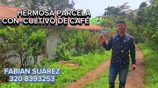 TU PARCELA CON FUENTES HIDRICAS PROPIAS EN SILVANIA CUNDINAMARCA