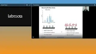 Elucidating the composition of CRISPR Cas12f1 complexes using mass photometry