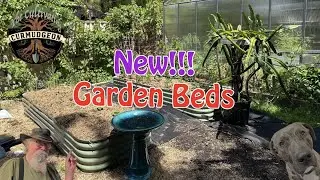 DIY Raised Beds Filled Cheap & Easy - Budget Gardening Hack