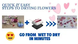 Dried pressed Flowers in minutes|Heat Press!