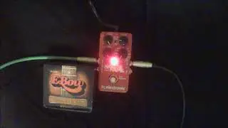 E Bow Plus w/ TC Electronic Hall Of Fame Reverb V.1