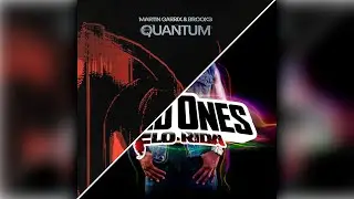 Martin Garrix & Brooks - Quantum vs. Flo Rida & Sia - Wild Ones (FRVNT Mashup)