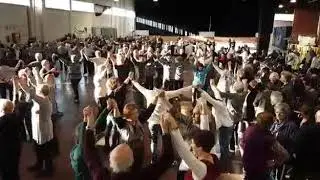 Sardanes a plaça(9)
