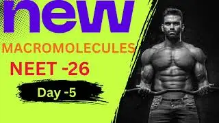 Proteins | Nucleic Acids DNA | RNA | Macromolecules 