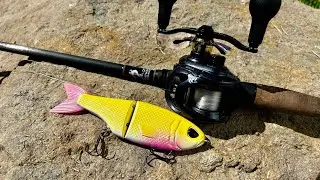 Bass Love Throwback Baits Pink Lemonade Metro Glide