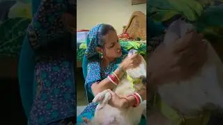 Mo chemu ki ragi 😂#viralshorts #funnyvideo #support #viralvideos || muni Soumya official || #comedy