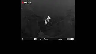 Feral Goat Cull &ndash; Kahurangi National Park | DOC Helicopter Operation with Pulsar Thermal