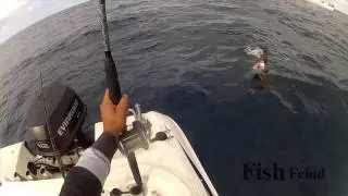 Yellowtail fishing