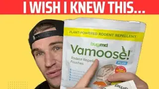 Средство от мышей BugMD Vamoose! Plus с маслом перечной мяты | Стоит ли оно того?