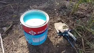 Applying lime on Orange 🍊 Tree😃