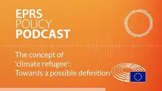 The concept of 'climate refugee': Towards a possible definition [Policy Podcast]