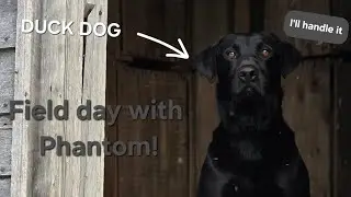 TRAINING with my DUCK DOG PHANTOM!