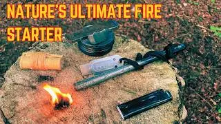 Nature&rsquo;s Ultimate Fire Starter: Igniting Birch Bark with 3 Methods