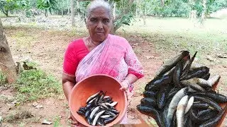 Matta Gudisa Special Fish Recipe village style  Spotted Snakehead Fish curry  prepared by grandma