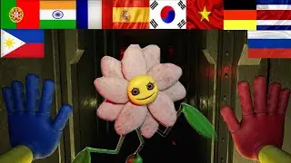 DAISY IN DIFFERENT LANGUAGES