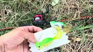 PESCA EN EL LAGO DE EZEIZA MUCHA ACTIVIDAD DE LOS PECES #pesca #cute  #fishing #viajes #naturaleza 