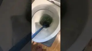 Самая быстрая прочистка туалета в истории? #засоренныйслив