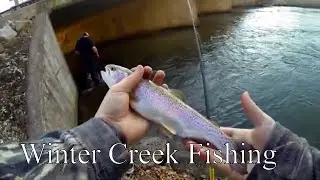Winter Creek Fishing 2020