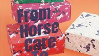 Unbox the Ultimate Equestrian Experience with Evolve Equine Box!