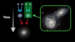 What are Galaxy Merger Trees?