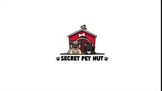 Secret Pet Hut Motion logo ( Logo Animation ) - Intro