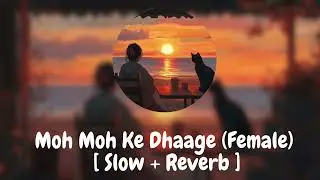 [Slow + Reverb] Moh Moh Ke Dhaage (Female) | Lofi | Dum Laga ke haisha