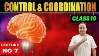 Control and Coordination Class 10 | Full Chapter | NCERT Science Chapter 7 | MicroX | Shamim Sir