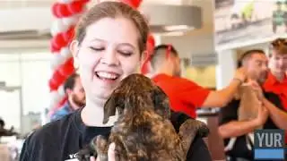 Eddy's Toyota Community Service Involvement