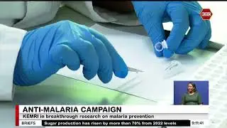 KEMRI in breakthrough research on malaria prevention