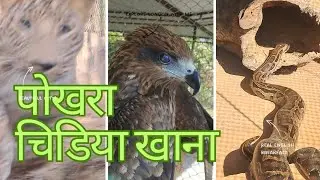 पोखराको चिडिया खाना 