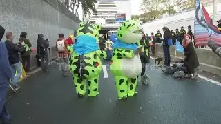 Dozens of climate protesters close down part of busy highway into The Hague on day before election