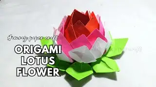 easy origami for beginners flower /easy lotus flowers origami