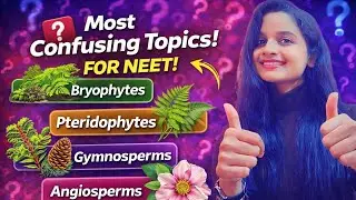 Bryophytes to Angiosperms Complete Comparison 🌱 | Plant Kingdom | NEET & Board
