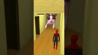 Where did Spider-Man hide? #brainrot #gmod #memes #funanimation #spiderman