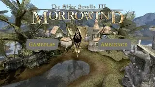 1 Hour of Morrowind Gameplay: No Commentary
