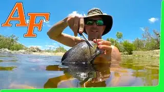Overnight trip Charcoal Grill Banana Leaf Fish Catch and Cook EP.425