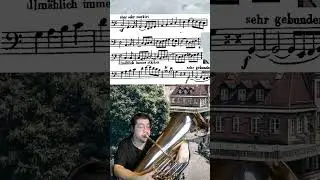 Die Meistersinger Von Nurnberg, Richard Wagner #tuba #excerpts #orchestra