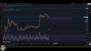 XRP Price Prediction: Crucial Support Level & $6.50 Target! #shorts