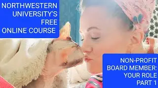 Northwestern University's Free Online Non-Profit Course: Your Role Part 1