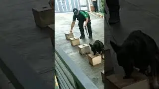 Dog k9 smell test 🐾