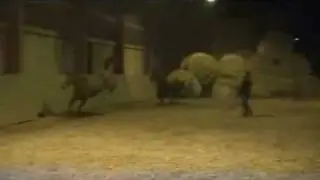 Quarter Horse Race Crash in Hall