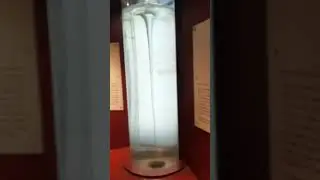 Science Miracle : #water #nature #museum #density#science #crystals #creative#velocity #sciencefacts