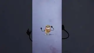 #owl #funny #entertainment #mychannel #youtube #comedy #likeandsubscribe
