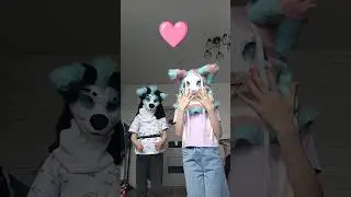 #dinomask #мем #рек #furries #раптор #фурри #фурсьютер #djudidragon #fursiut #covertstubbz #pokemon